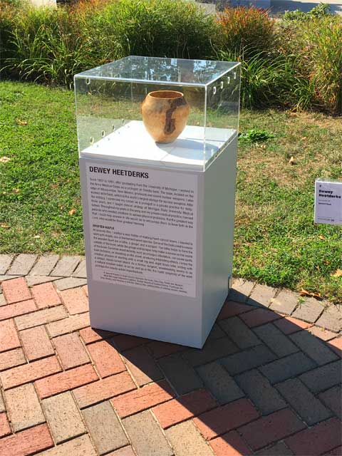 Spotted Maple by Dewey Heetderks - Part of the Voices Project at ArtPrize 2021